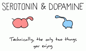 seratoninand dopamine